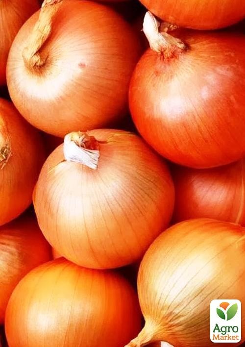 Цибуля "Галант" (у банці) ТМ "Весна" 100г