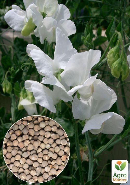 На вагу Духмяний горошок "Снігова  перлина" ТМ "Весна" ціна за 4г