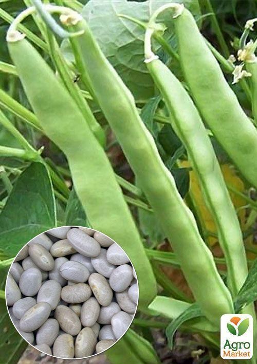 На развес Фасоль "Жемчужина мелкая" ТМ "Весна" цена за 20г