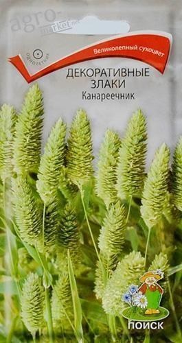 Декоративні злаки "канареечник" ТМ "Пошук" 40шт