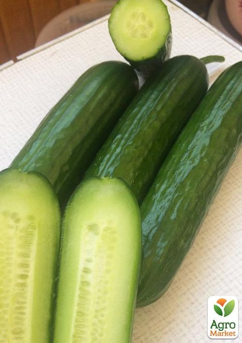 Огурец партенокарпический "Базис F1" ТМ "Lark Seeds" 1000шт