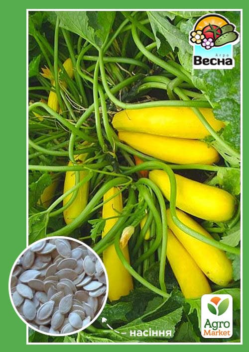 Кабачок "Золотинка" ТМ "Весна" 2г