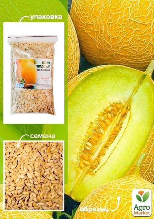 Дыня "Дидона" ТМ "Весна" 100г