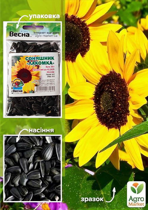 Подсолнечник "Лакомка" (Зипер) ТМ "Весна" 30г