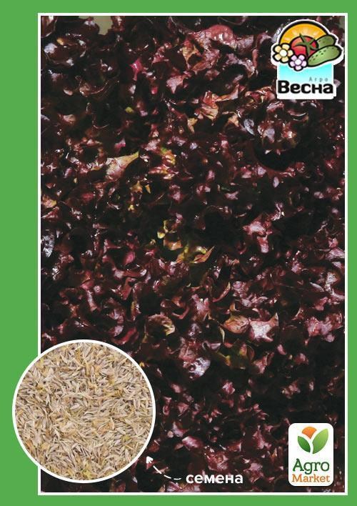 Салат "Фонтан" (Новий пакет) ТМ "Весна" 1.5г