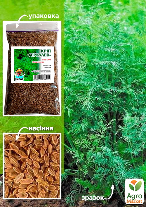 Укроп "Геркулес" ТМ "Весна" 100г