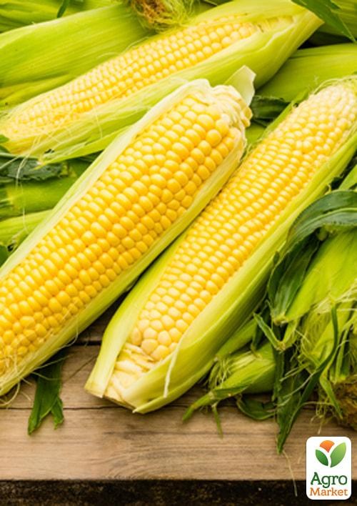 Кукурудза "Бондюель" (у банці) ТМ "Весна Органік" 30г