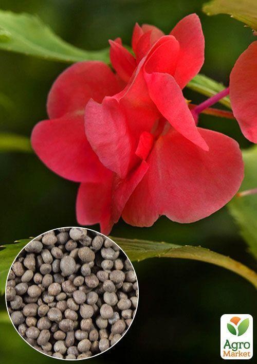 На вагу Бальзамін махровий суміш ТМ "Весна" ціна за 3г