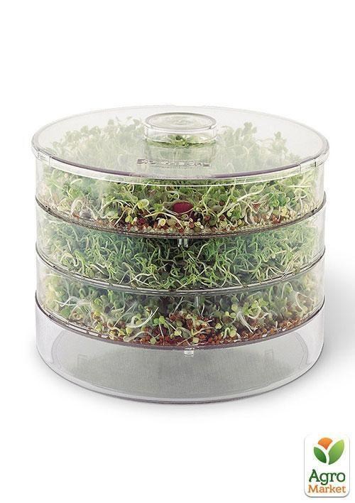 Проращиватель (спаутер) + набор семян микрозелени №2 ТМ "BIO Natura"