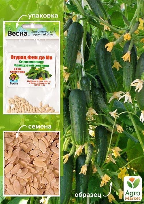 Огірок "Фін де Мо" (Зипер) ТМ "Весна" 1г