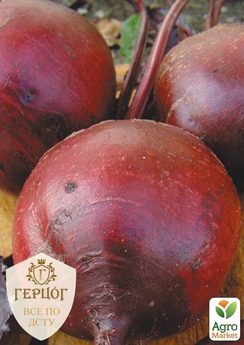 Свекла "Герцог" "Кубанская борщевая 43" ТМ "Весна" 8г