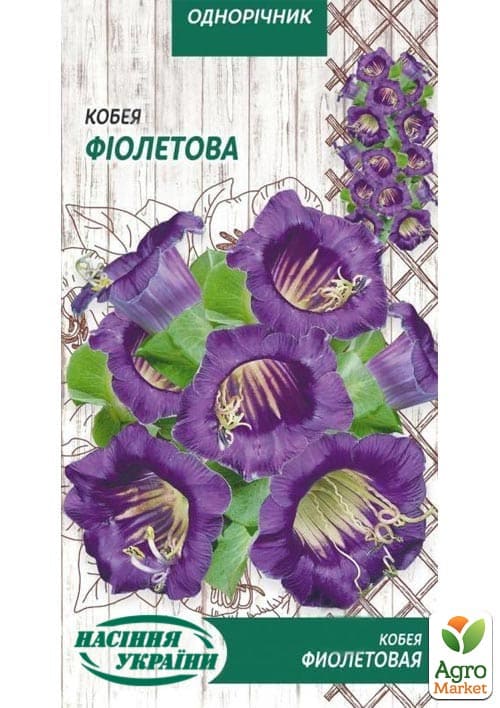 Кобея "Фіолетова" ТМ "Насіння України"0.3г