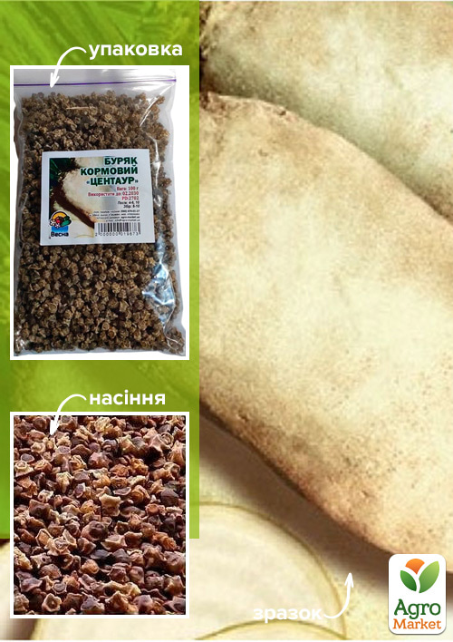 Буряк Кормовий "Центаур" ТМ "Весна" 100г