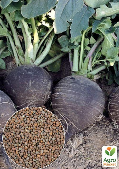 На развес Редька "Зимняя черная" ТМ "Весна" цена за 15г