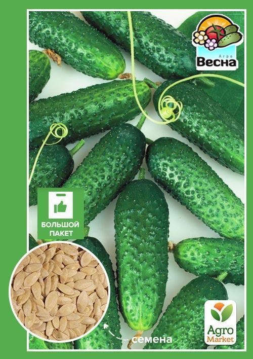 Огурец "Гейм" (Большой пакет) ТМ "Весна" 2г