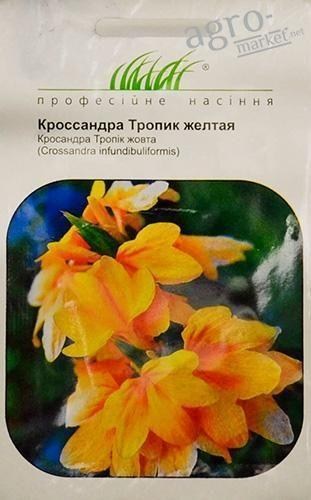 Кроссандра "Тропік жовта" ТМ "HEM Zaden" 4шт