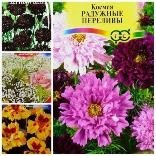 Комплект семян цветов "Неописуемая красота" 5уп