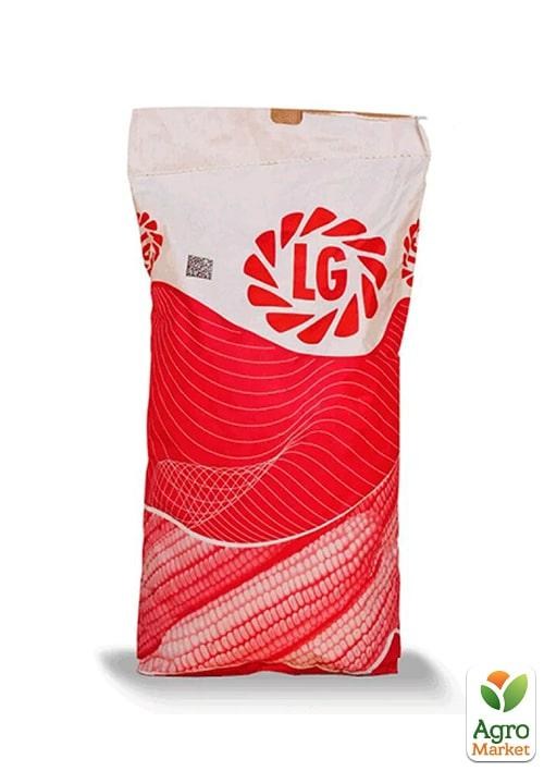 Кукуруза "ЛГ 3255" ТМ "Лимагрейн" 50000шт