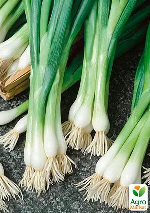 Лук "Токио" (Зипер) ТМ "Весна" 2г - фото 4