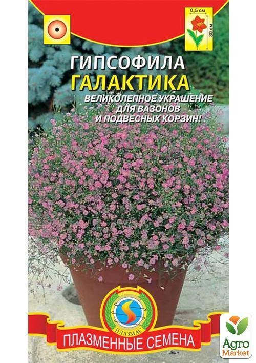 Гипсофила "Галактика" ТМ "Плазмові насіння" 0,005 г