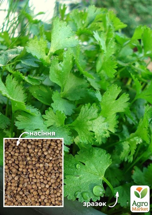 Коріандр "Літній аромат" ТМ "Весна" 100г