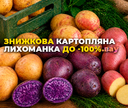 Знижкова картопляна лихоманка до -100%