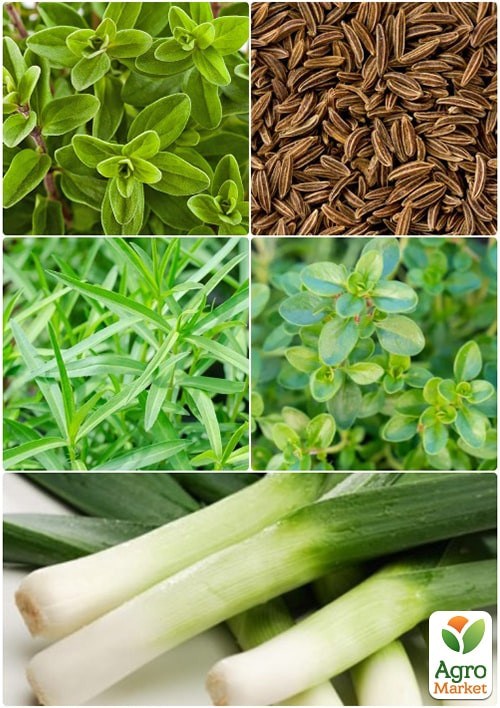 Смесь пряных трав "Приправы к грибам" ТМ "Vesna Select" 2г