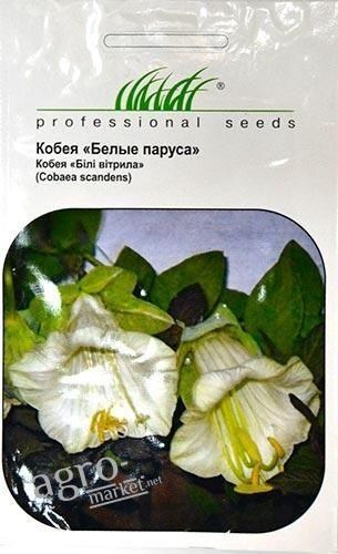 Кобея "Белые паруса" ТМ "Нem Zaden" 0.3г