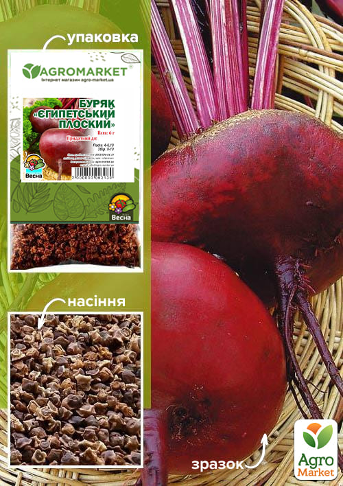 Свекла "Египетская плоская" (Зипер) ТМ "Весна" 6г