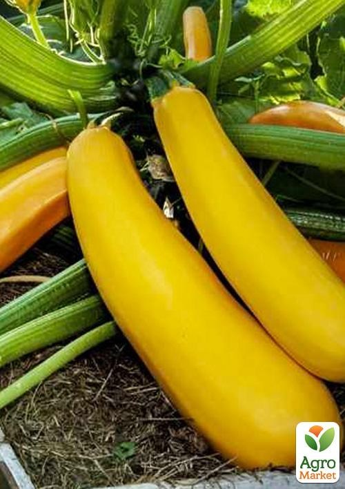 Кабачок "Голдстик F1" ТМ "Lark Seeds" 500шт