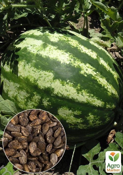 На развес Арбуз "Ау Продюсер" ТМ "Весна" цена за 5г