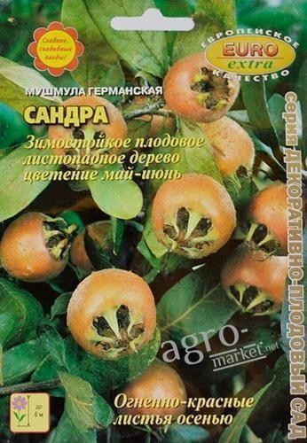 Мушмула німецька "Сандра" ТМ "Аеліта" 0.5г