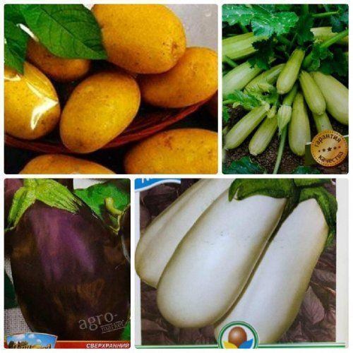 Комплект насіння картоплі "Запахло смаженим" 10уп