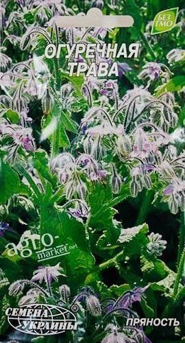Огуречная трава ТМ "Семена Украины" 1г