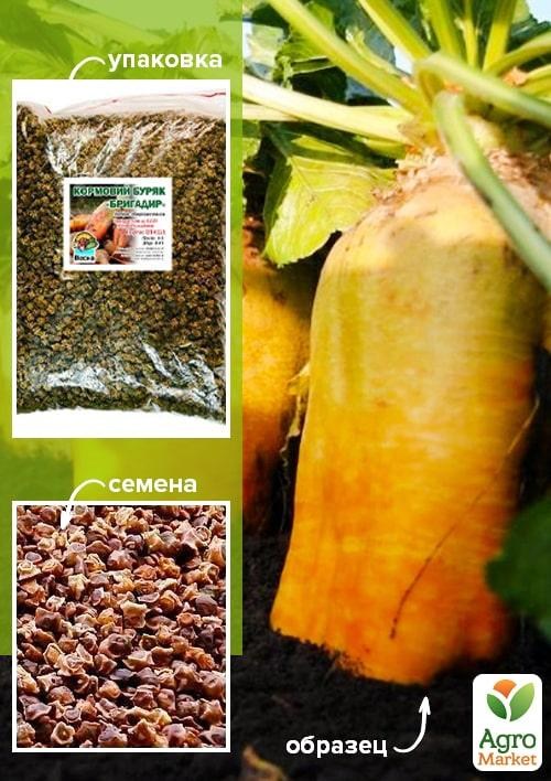 Свекла Кормовая "Бригадир" ТМ "Весна" 500г