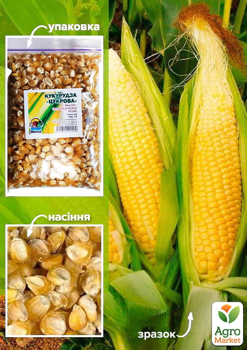 Кукуруза сахарная ТМ "Весна" 500г