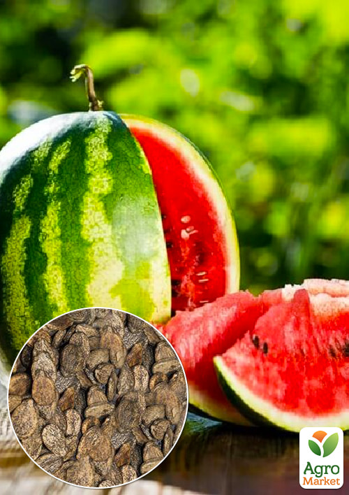 На вагу Кавун "Сверхранній" ТМ "Весна" ціна за 6г