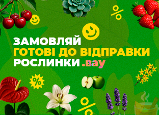 Рослини готові до відправлення
