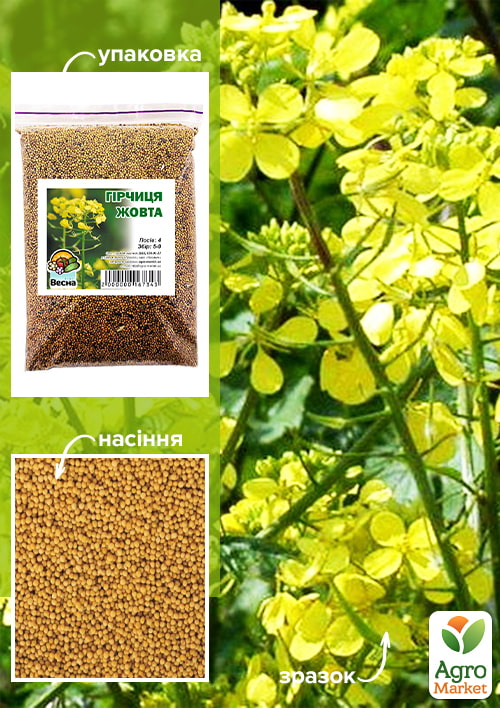 Гірчиця жовта ТМ "Весна" 500г
