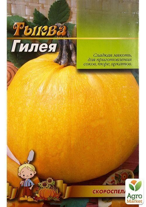 Тыква "Гилея" (Большой пакет) ТМ "Весна" 8г - фото 2