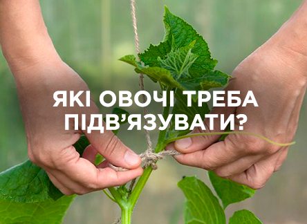 Які овочі потребують підв’язування?
