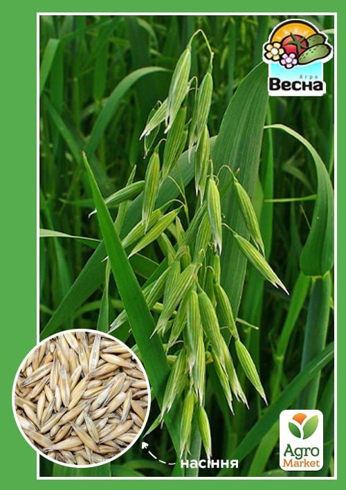 Овёс "Черниговский 28" ТМ "Весна" 10кг