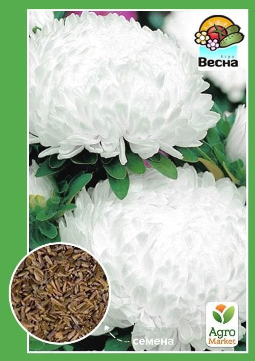 Астра "Букетная" белая ТМ "Весна" 0.2г