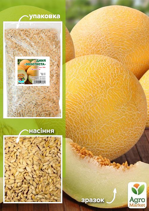 Дыня "Золотистая" ТМ "Весна" 500г