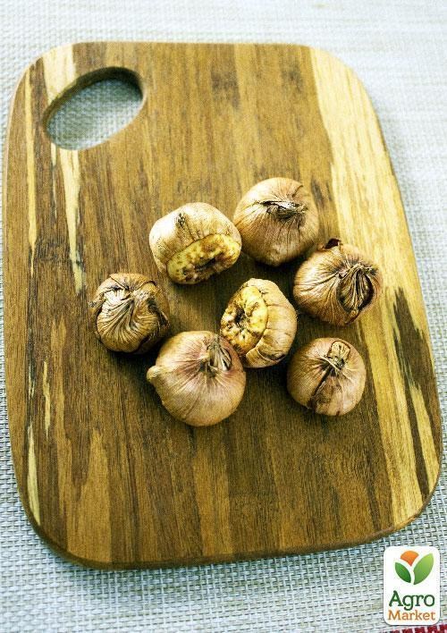 Гладіолус Нанус "Charm" 3шт - фото 2