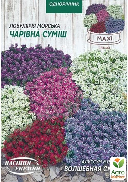Аліссум (Лобулярія) "Чарівна суміш" ТМ "Насіння України" 0.1г