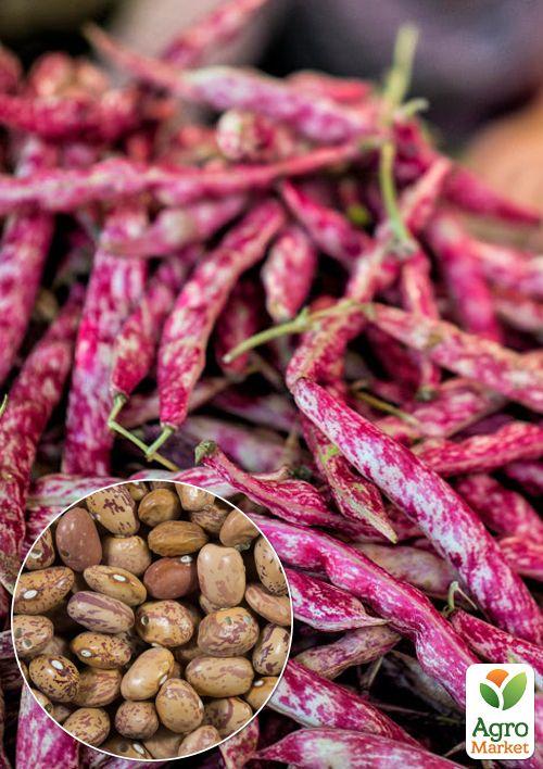 На вагу Квасоля "Мармурова" ТМ "Весна" ціна за 20г