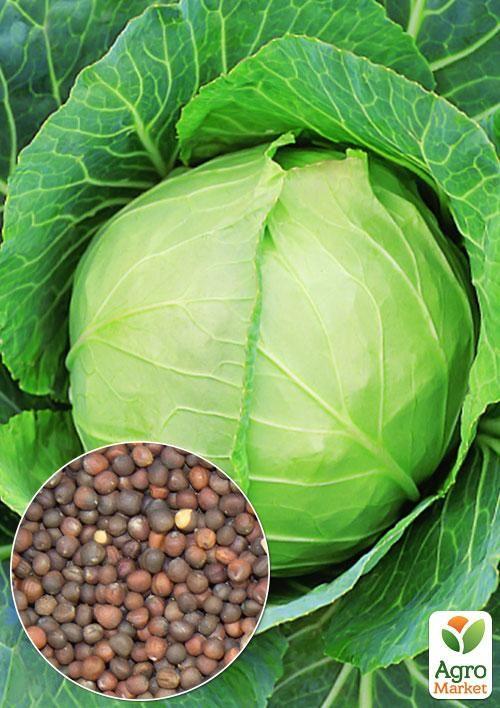 На вагу Капуста "Слава" ТМ "Весна" ціна за 6г