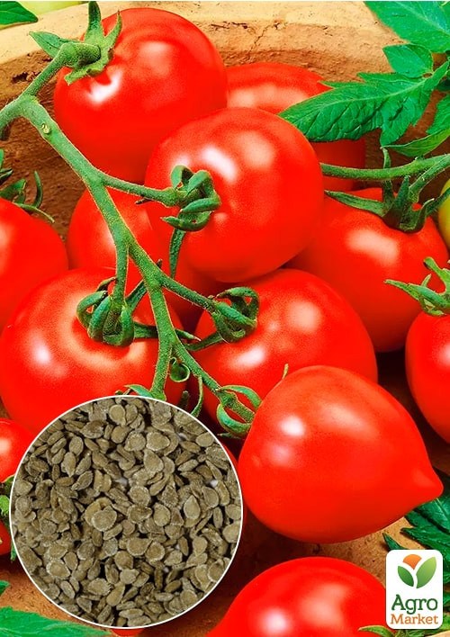 На развес Томат "Базилевс" ТМ "Весна" цена за 1г