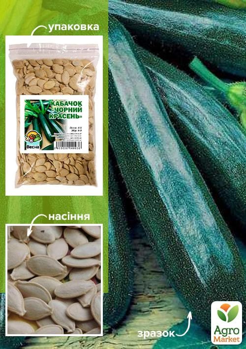 Кабачок "Черный красавец" ТМ "Весна" 100г